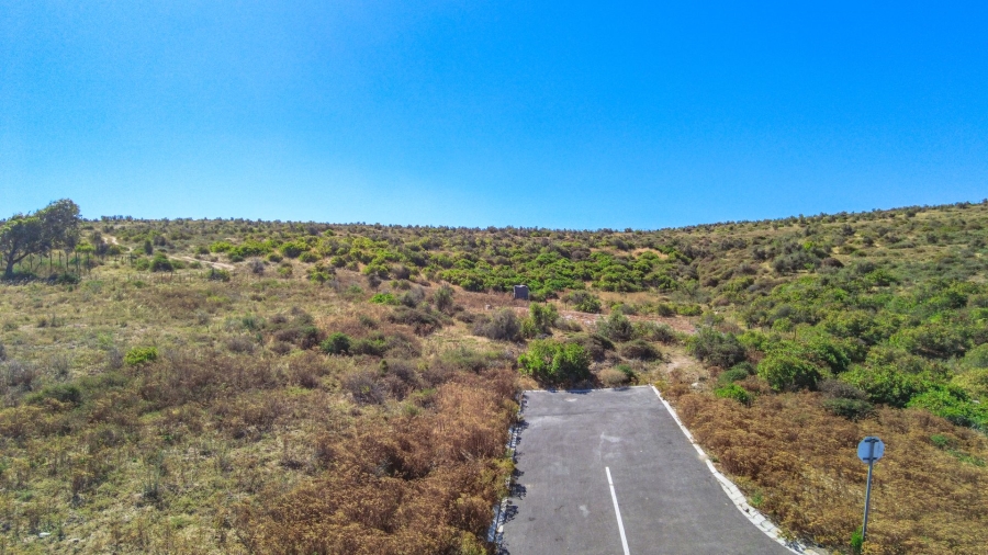 0 Bedroom Property for Sale in Welgedaan Estate Western Cape